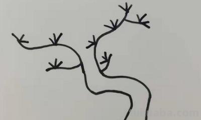 松树怎么画简笔画图片(松树怎么画简笔画图片(要上色)) 松树怎么画简笔画图片(松树怎么画简笔画图片(要上色))