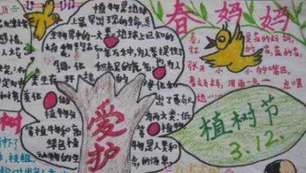 手抄报的树怎么画（手抄报的树怎么画好看）