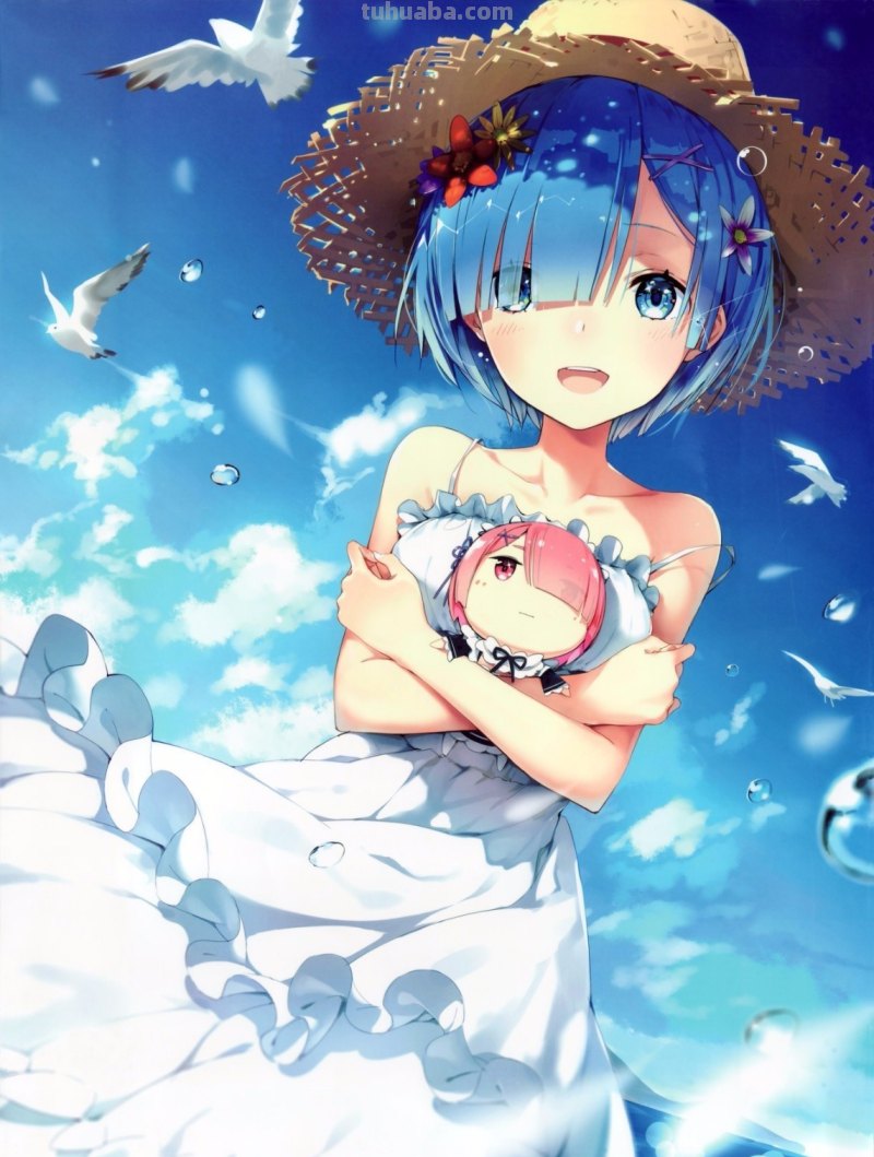 想要这张蕾姆做手机壁纸但是没有高清,求有原图的伙伴分享一下谢谢!