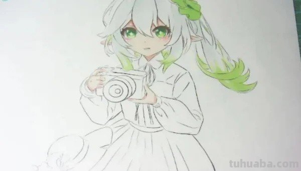 原神纳西妲怎么画