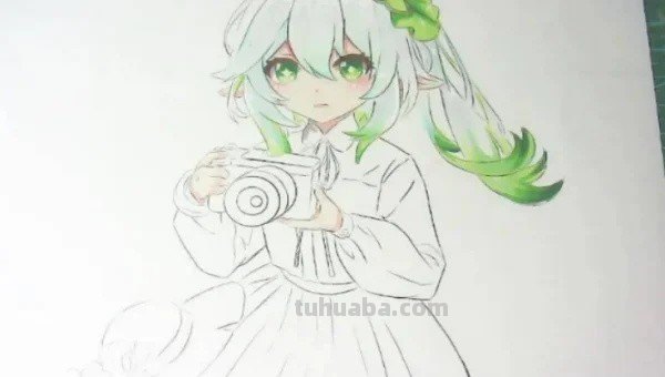 原神纳西妲怎么画