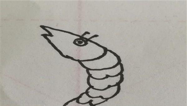 虾简笔画怎么画(虾简笔画怎么画最简单的) 虾简笔画怎么画(虾简笔画怎么画最简单的)