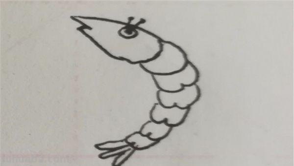 虾简笔画怎么画(虾简笔画怎么画最简单的) 虾简笔画怎么画(虾简笔画怎么画最简单的)