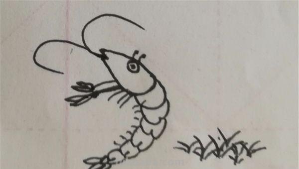 虾简笔画怎么画(虾简笔画怎么画最简单的) 虾简笔画怎么画(虾简笔画怎么画最简单的)