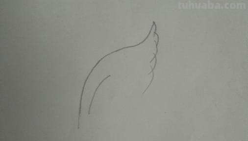 鹰翅膀彩铅画怎么画（鹰翅膀彩铅画怎么画好看）