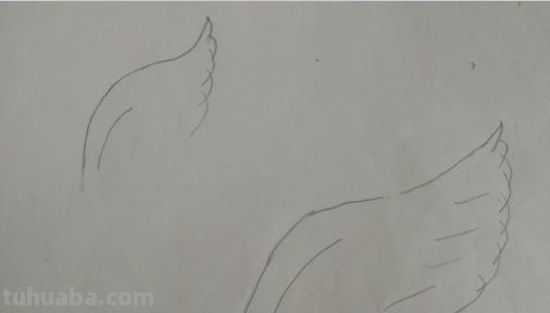 鹰翅膀彩铅画怎么画（鹰翅膀彩铅画怎么画好看）