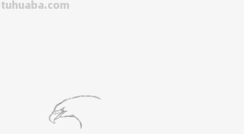 鹰翅膀彩铅画怎么画（鹰翅膀彩铅画怎么画好看）