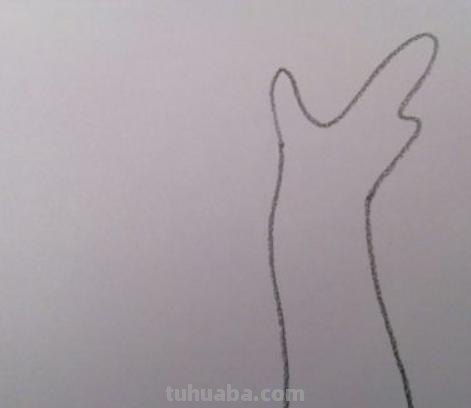 柳树怎么画简笔画图片（柳树怎么画简笔画图片大全）