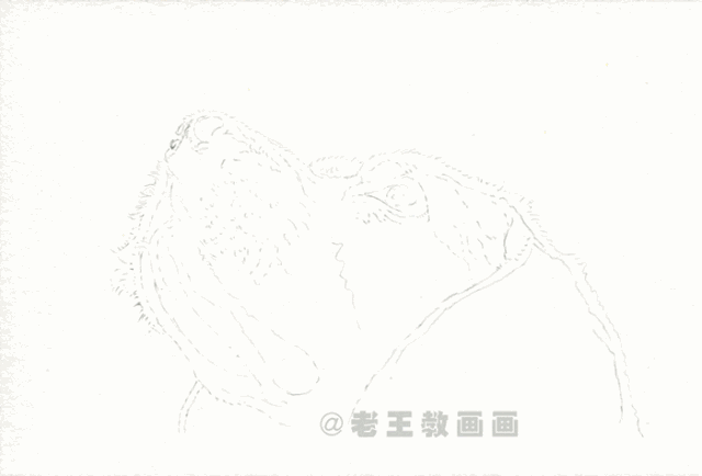 零基础素描教程，教你画一只狗