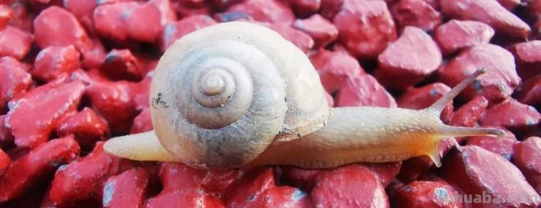 手机摄影：如何拍出有特色的照片？（影展点评第643期）