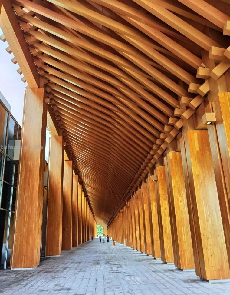 手机摄影：如何拍出有特色的照片？（影展点评第643期）