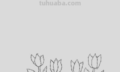 怎么画树简笔画图片(怎么画树简笔画图片大全) 怎么画树简笔画图片(怎么画树简笔画图片大全)