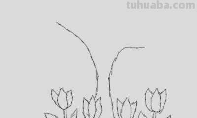 怎么画树简笔画图片(怎么画树简笔画图片大全) 怎么画树简笔画图片(怎么画树简笔画图片大全)