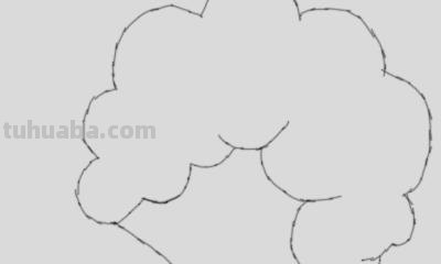怎么画树简笔画图片(怎么画树简笔画图片大全) 怎么画树简笔画图片(怎么画树简笔画图片大全)