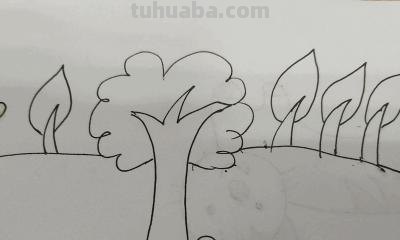 怎么画树简笔画图片(怎么画树简笔画图片大全) 怎么画树简笔画图片(怎么画树简笔画图片大全)