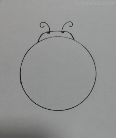 虫子怎么画简笔画图片（虫子怎么画简笔画图片一年级下册语文）