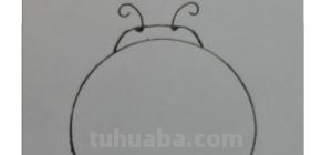 虫子怎么画简笔画图片（虫子怎么画简笔画图片一年级下册语文）