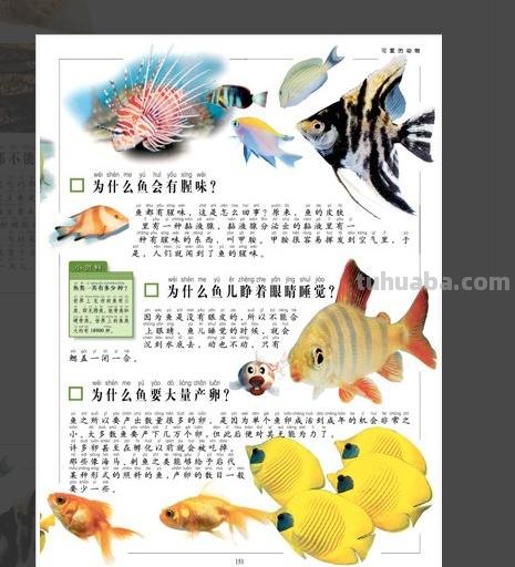 10万个为什么思维导图(10万个为什么思维导图四年级) 10万个为什么思维导图(10万个为什么思维导图四年级)