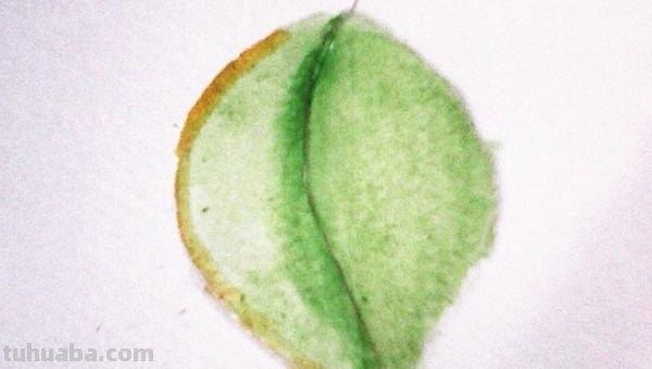 彩铅画爱心树叶怎么画(彩铅画爱心树叶怎么画好看) 彩铅画爱心树叶怎么画(彩铅画爱心树叶怎么画好看)