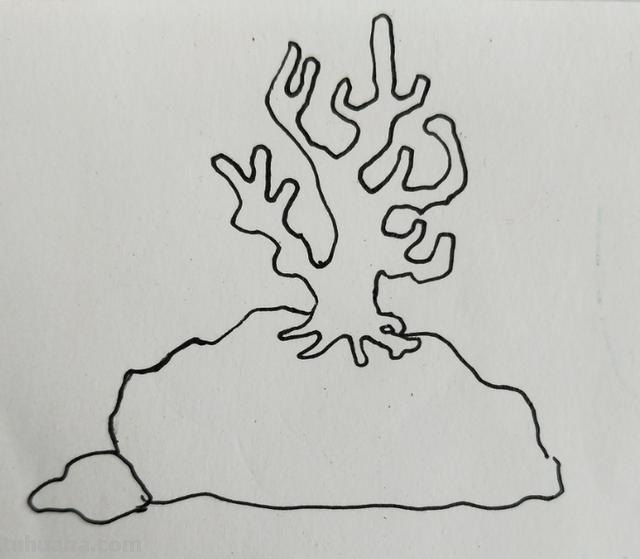 珊瑚怎么画简笔画图片（珊瑚怎么画简笔画图片 可爱）