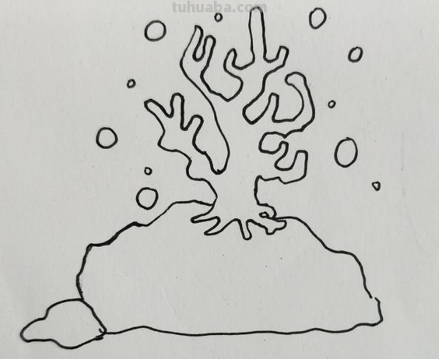 珊瑚怎么画简笔画图片（珊瑚怎么画简笔画图片 可爱）
