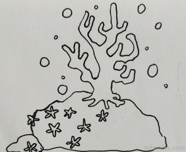 珊瑚怎么画简笔画图片（珊瑚怎么画简笔画图片 可爱）