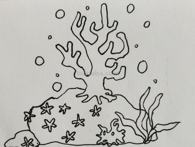 珊瑚怎么画简笔画图片（珊瑚怎么画简笔画图片 可爱）