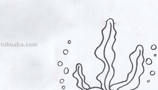 珊瑚怎么画简笔画图片（珊瑚怎么画简笔画图片 可爱）