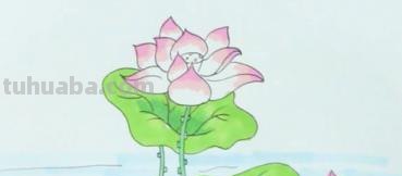 高级彩铅画荷花怎么画(高级彩铅画荷花怎么画好看) 高级彩铅画荷花怎么画(高级彩铅画荷花怎么画好看)