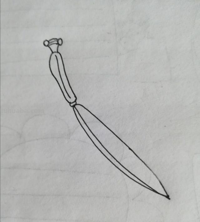 怎么画兰花螳螂彩铅画(怎么画兰花螳螂彩铅画图片) 怎么画兰花螳螂彩铅画(怎么画兰花螳螂彩铅画图片)