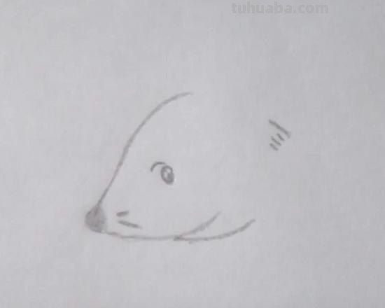 简笔画老鼠怎么画（简笔画老鼠怎么画用数字）