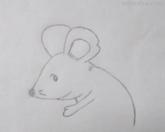 简笔画老鼠怎么画（简笔画老鼠怎么画用数字）