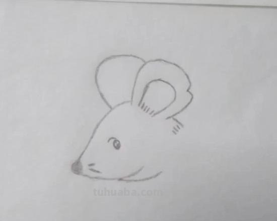 简笔画老鼠怎么画（简笔画老鼠怎么画用数字）