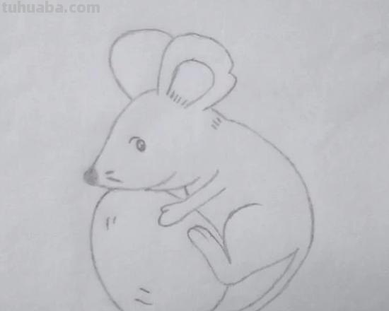 简笔画老鼠怎么画（简笔画老鼠怎么画用数字）
