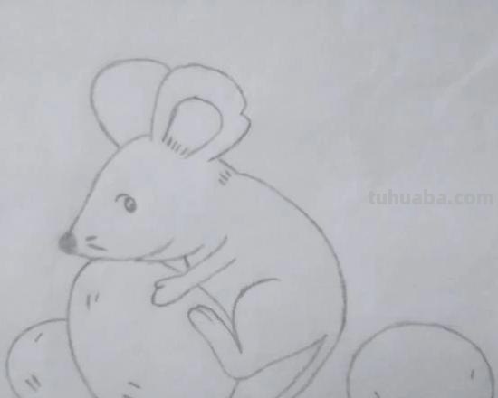简笔画老鼠怎么画（简笔画老鼠怎么画用数字）