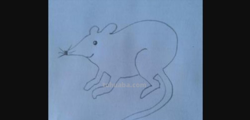 简笔画老鼠怎么画（简笔画老鼠怎么画用数字）