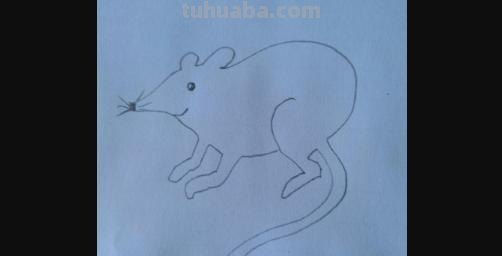 简笔画老鼠怎么画（简笔画老鼠怎么画用数字）