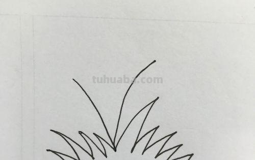 小花的简笔画怎么画(小花的简笔画怎么画视频) 小花的简笔画怎么画(小花的简笔画怎么画视频)