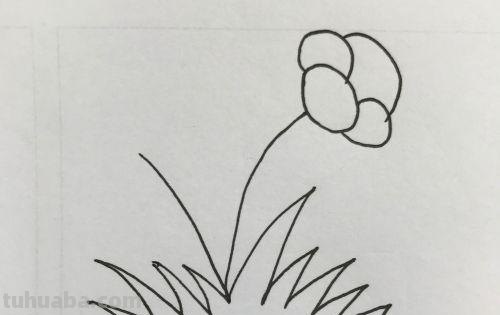 小花的简笔画怎么画(小花的简笔画怎么画视频) 小花的简笔画怎么画(小花的简笔画怎么画视频)