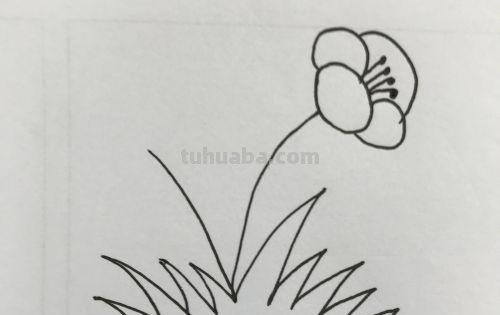 小花的简笔画怎么画(小花的简笔画怎么画视频) 小花的简笔画怎么画(小花的简笔画怎么画视频)