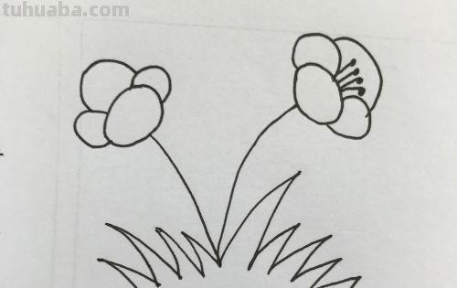 小花的简笔画怎么画(小花的简笔画怎么画视频) 小花的简笔画怎么画(小花的简笔画怎么画视频)