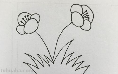 小花的简笔画怎么画(小花的简笔画怎么画视频) 小花的简笔画怎么画(小花的简笔画怎么画视频)