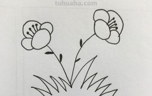 小花的简笔画怎么画(小花的简笔画怎么画视频) 小花的简笔画怎么画(小花的简笔画怎么画视频)