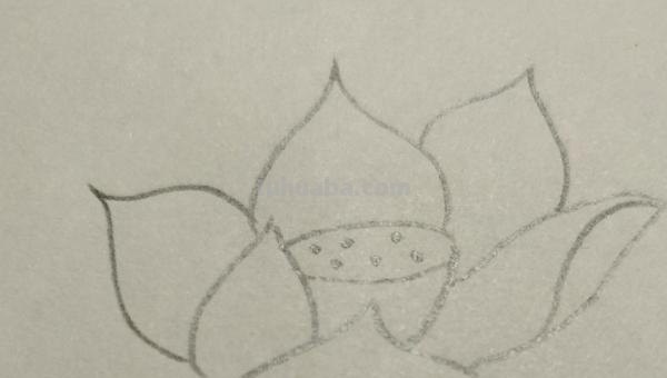 彩铅画荷花怎么画荷叶(彩铅画荷花怎么画荷叶图片) 彩铅画荷花怎么画荷叶(彩铅画荷花怎么画荷叶图片)