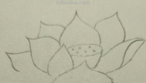 彩铅画荷花怎么画荷叶(彩铅画荷花怎么画荷叶图片) 彩铅画荷花怎么画荷叶(彩铅画荷花怎么画荷叶图片)