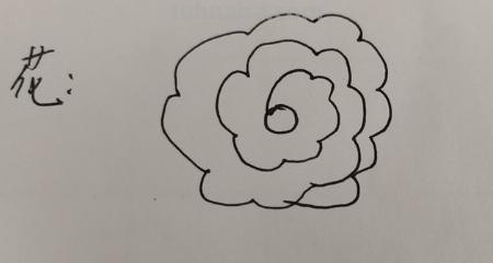 花怎么画又漂亮简笔画（花怎么画又漂亮简笔画图片）