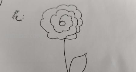 花怎么画又漂亮简笔画（花怎么画又漂亮简笔画图片）