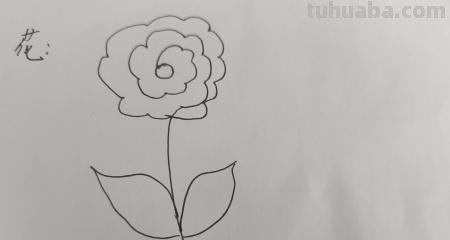 花怎么画又漂亮简笔画（花怎么画又漂亮简笔画图片）