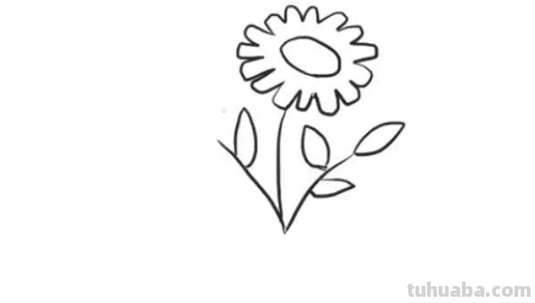 花怎么画又漂亮简笔画（花怎么画又漂亮简笔画图片）