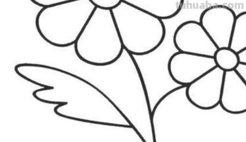 花怎么画又漂亮简笔画（花怎么画又漂亮简笔画图片）